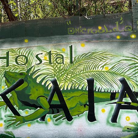 Hostal Kaia Santa Marta  Buitenkant foto