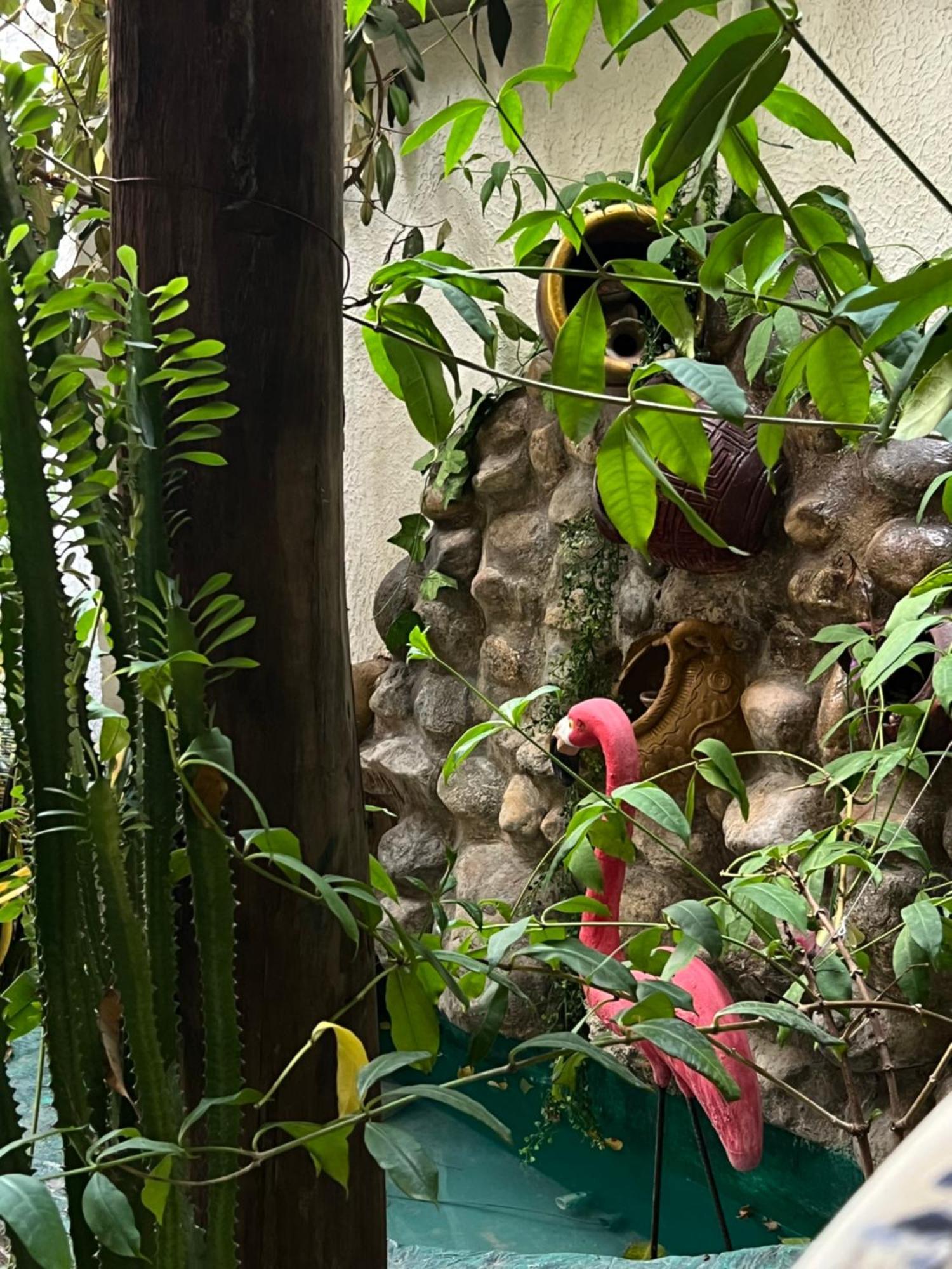 Hostal Kaia Santa Marta  Buitenkant foto
